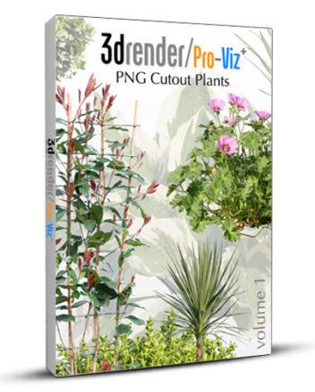 PNG Cutout Plants 01 Box