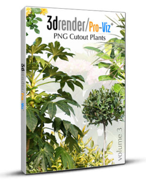 PNG Cutout Plants 03 Box 01