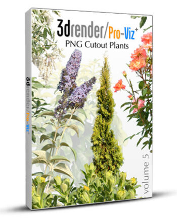 PNG Cutout Plants 05 Box 01