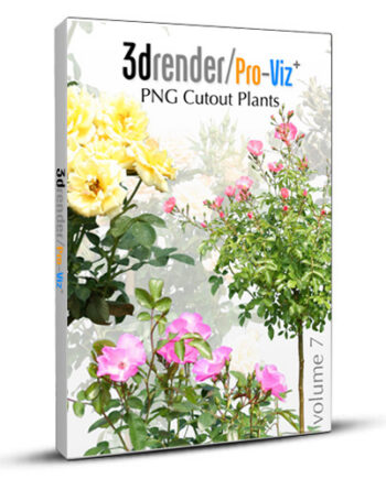 PNG Cutout Plants 07 Box 01