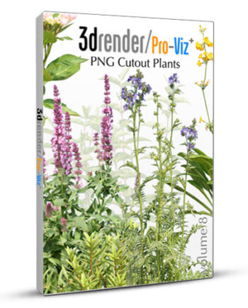 PNG Cutout Plants 08 Box 01