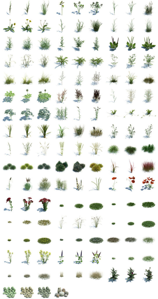 Archmodels Vol. 124 - 3D Models of Grass and Small Plants