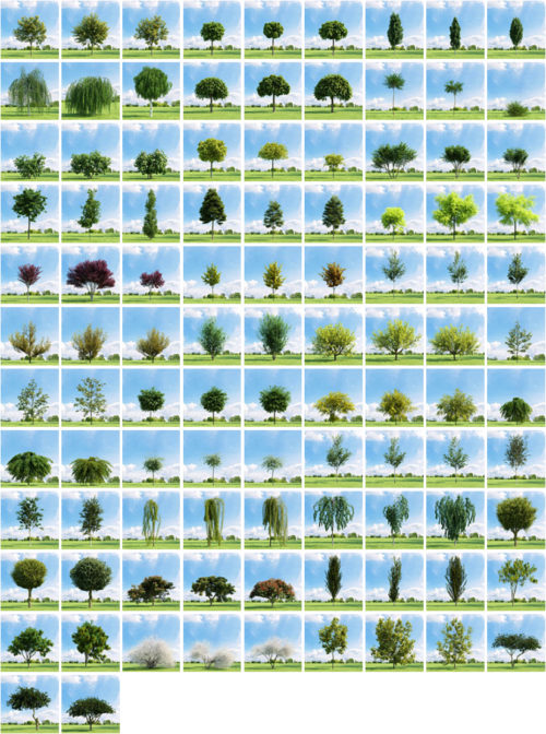 Archmodels Vol. 136 - 3D Models of Trees