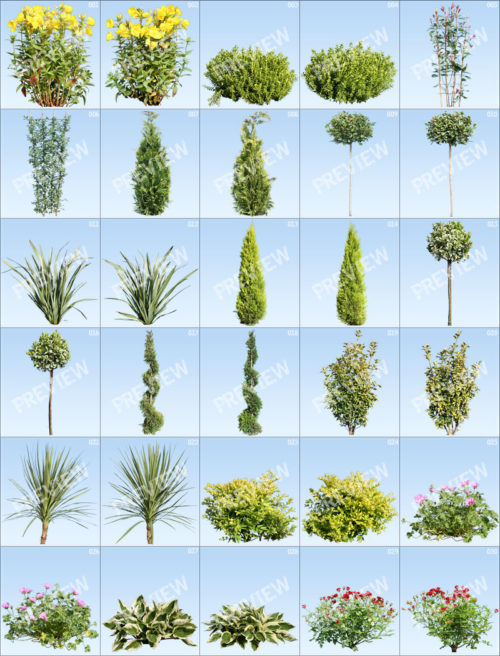 PNG Cutout Plants Library Preview 01