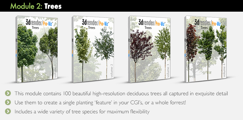 Complete 1200 Box Line Up - Trees - Inline